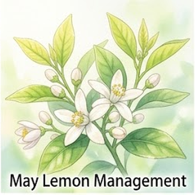 5月のレモン