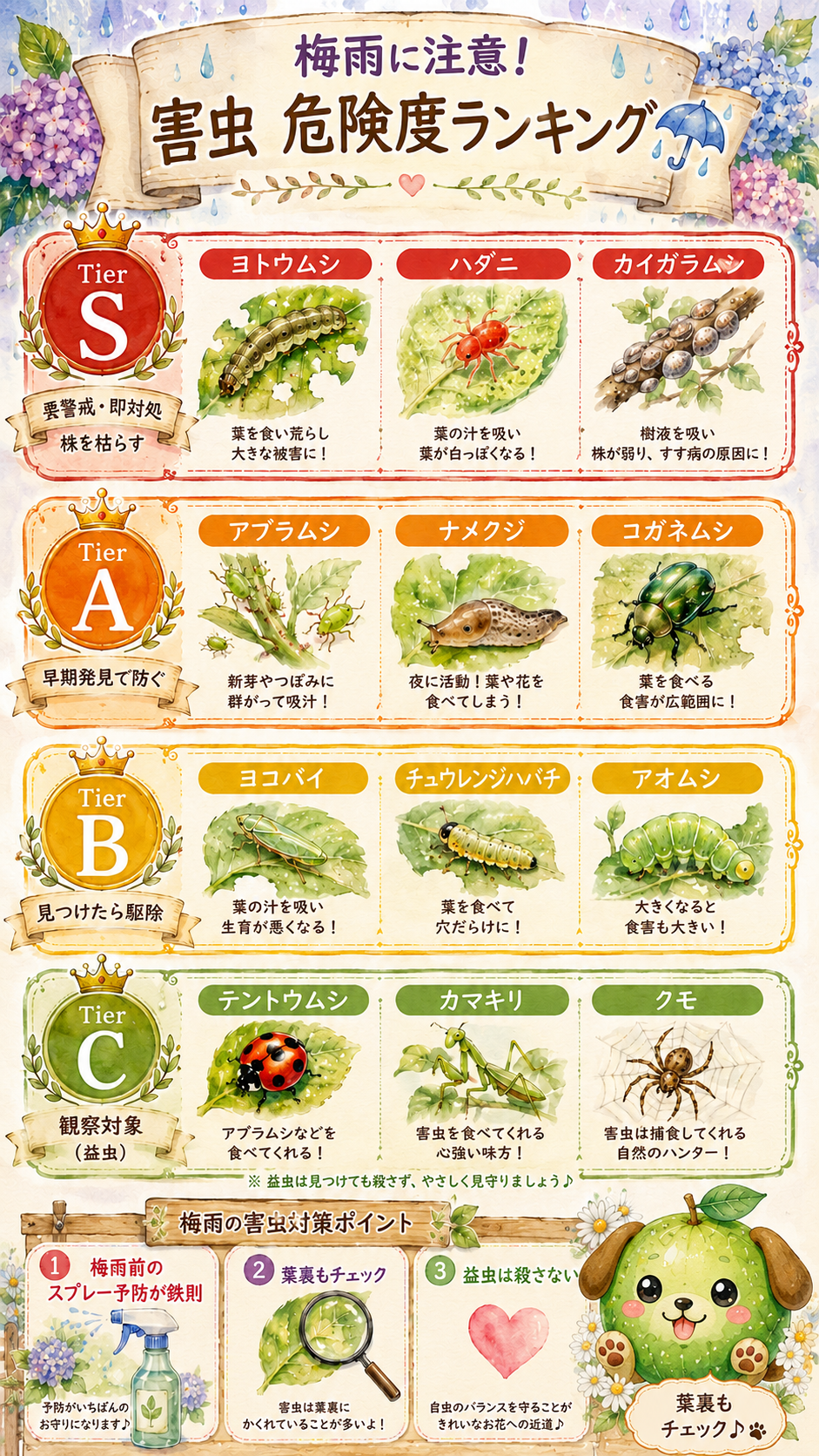 梅雨の害虫 危険度ランキング